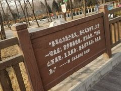 -北京麋鹿生态实验中心