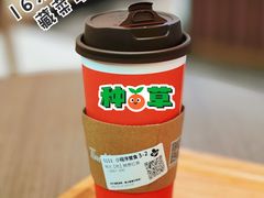 -Tims天好咖啡·贝果(雁展路万象天地店)