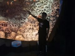 -珠海横琴长隆《卡卡虎奇遇记》