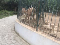 -无锡动物园·太湖欢乐园