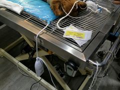-暖阳宠物医院·犬猫康复中心·骨科