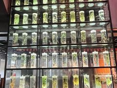 -广东中医药博物馆