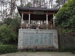-千岛湖东南湖区