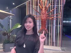-MR鹅外