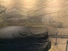 -白鹤梁水下博物馆