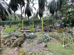 -中国科学院西双版纳热带植物园