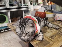 -小时光咖啡馆(北锣鼓巷店)