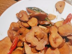 -鸽子窝(青塔店)