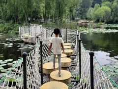 -滕州微山湖红荷湿地景区