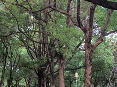 -天鹅湖体育公园