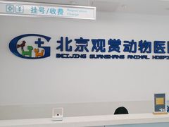 -北京观赏动物医院·24小时大型综合·猫专科·异宠专科