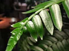 -时光花园(白鹭洲店)