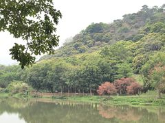 -风云岭森林公园