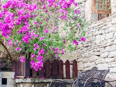 -高荡千年布依古寨旅游景区