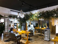 -明洞造型精品烫染