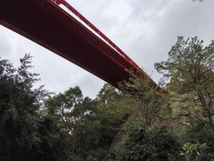 -金鸡山公园