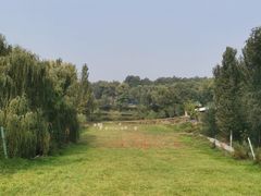 -东方巨龟苑景区