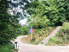 -广州市帽峰山景区