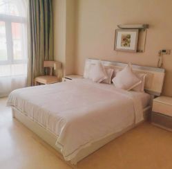 -上海美兰湖妇产科医院