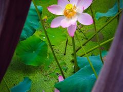 -滨湖塘西河公园