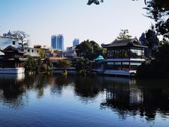-荔湾湖公园