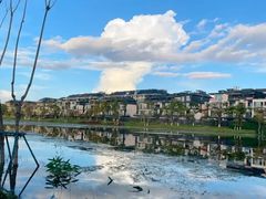 -呈贡滇池生态湿地公园