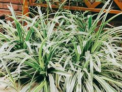 -欧洲房子(宜必思店)