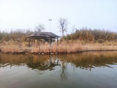 -卤阳湖国家湿地公园