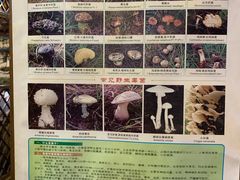 -滇藏石锅宴(崇仁巷老店)