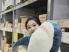 -宜家家居(西安未央商场店)