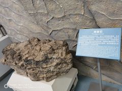 -延庆地质公园博物馆