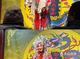 最喜欢的是华县皮影和秦腔 地点在永兴坊 皮影在非遗剧