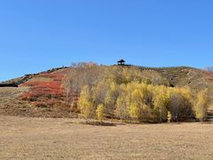 -塞罕坝国家级自然保护区