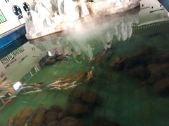 -北戴河圣蓝海洋公园