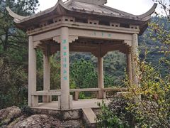 -树山生态村