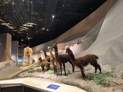 -武汉园博园(武汉自然博物馆)