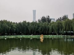 -团结湖公园