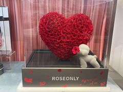 -ROSEONLY诺誓(广州K11店)