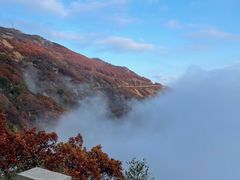 -白草畔自然风景区