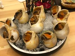 五味海螺-酒久自助料理(佳兆业店)