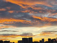 -台场海滨公园船码头