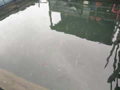 -海上驿站渔家菜馆