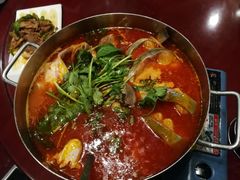 酸汤鱼-泉味道贵州厨房(三里河店)