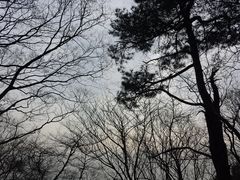 -紫金山索道-售票处
