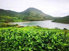 -嵛山岛