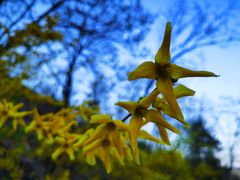 -鹫峰国家森林公园