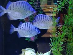 -顺德南宏海立方海洋公园