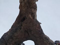 -孜珠寺