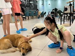 -安格丽娜·狗咖·猫咖羊驼咖(春熙路百盛商场店)