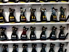 -猫咪博物馆(顶澳仔猫街店)